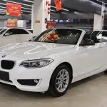 BMW 2 Series (Import) 2017 из Китая