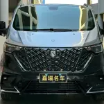 Ford Tourneo 2025 из Китая