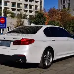 BMW 5 Series 2019 из Китая