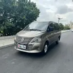 Fengxing Lingzhi 2021 из Китая
