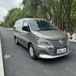 Fengxing Lingzhi 2021 из Китая