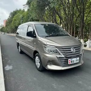 Fengxing Lingzhi 2021 из Китая