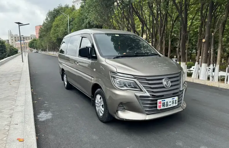 Fengxing Lingzhi 2021 из Китая