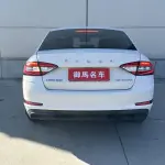 Skoda Octavia 2021 из Китая
