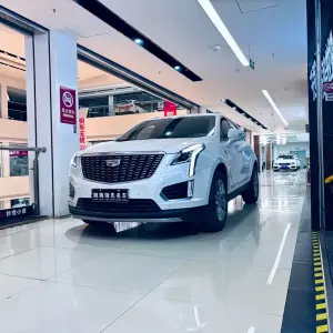 Cadillac XT5 2021 237 л.с. из Китая