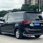 大通 G20 2022 из Китая