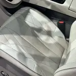 Denza Denza D9 2023 из Китая