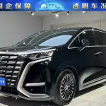 Denza Denza D9 2023 из Китая