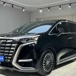 Denza Denza D9 2023 из Китая