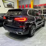 BMW X5 (Import) 2019 265 л.с. из Китая