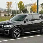 BMW X5 2023 245 л.с. — лот 56731569 из Китая