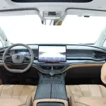 Denza Denza D9 2022 из Китая