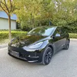 Tesla Model Y 2021 из Китая