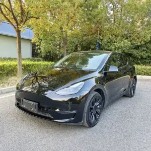 Tesla Model Y 2021 из Китая