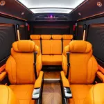 Hongqi 红旗金葵花国悦 из Китая