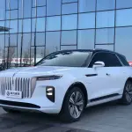 Hongqi Hongqi E-HS9 2023 из Китая