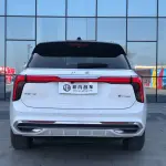 Hongqi Hongqi E-HS9 2023 из Китая