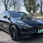 Tesla Model Y 2021 лот 57626528 из Китая