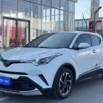 Toyota IZOA 2021 из Китая