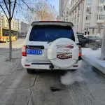 Toyota Land Cruiser 2002 из Китая