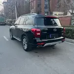 GAC Motor Trumpchi GS8 2017 201 л.с. — лот 57546388 из Китая