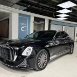 Hongqi 红旗金葵花国雅 2025 из Китая