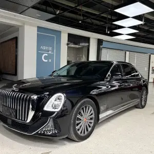 Hongqi 红旗金葵花国雅 2025 из Китая