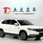 Skoda Kamiq 2021 112 л.с. из Китая