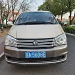 Fengxing Lingzhi 2019 из Китая