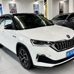 Skoda Kamiq 2022 из Китая