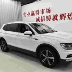 Volkswagen Tiguan L 2019 186 л.с. — лот 57583156 из Китая