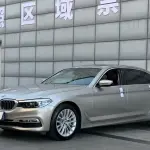 BMW 5 Series 2018 252 л.с. — лот 57593380 из Китая