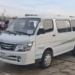 Jinbei Jinbei Sea Lion 2019 из Китая