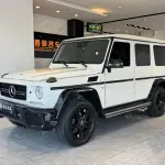 Mercedes-Benz G-Class 2012 из Китая