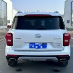 GAC Motor Trumpchi GS8 2020 201 л.с. из Китая