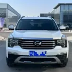 GAC Motor Trumpchi GS8 2020 201 л.с. из Китая