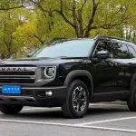 Haval Big Dog 2024 из Китая