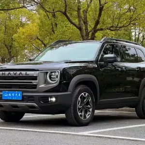 Haval Big Dog 2024 из Китая