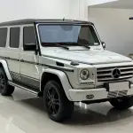 Mercedes-Benz G-Class 2016 из Китая