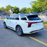 Hongqi Hongqi E-HS9 2021 из Китая