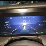 Hongqi Hongqi E-HS9 2021 из Китая
