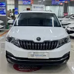 Skoda Kamiq 2023 из Китая
