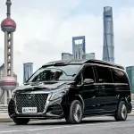 Yasheng Yasheng V-Class 2023 из Китая