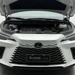 Lexus RX 2024 из Китая