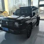 Tank Tank 300 2022 из Китая
