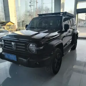 Tank Tank 300 2022 из Китая