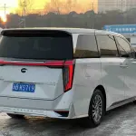 GAC Motor Trumpchi M8 2023 из Китая