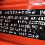 Tank Tank 300 2024 из Китая