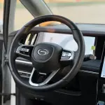 GAC Motor Trumpchi M8 2024 из Китая