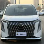 GAC Motor Trumpchi M8 2024 из Китая